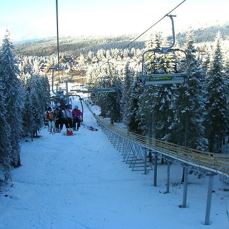 Apartment Sofi Yeti Kopaonik Extérieur photo