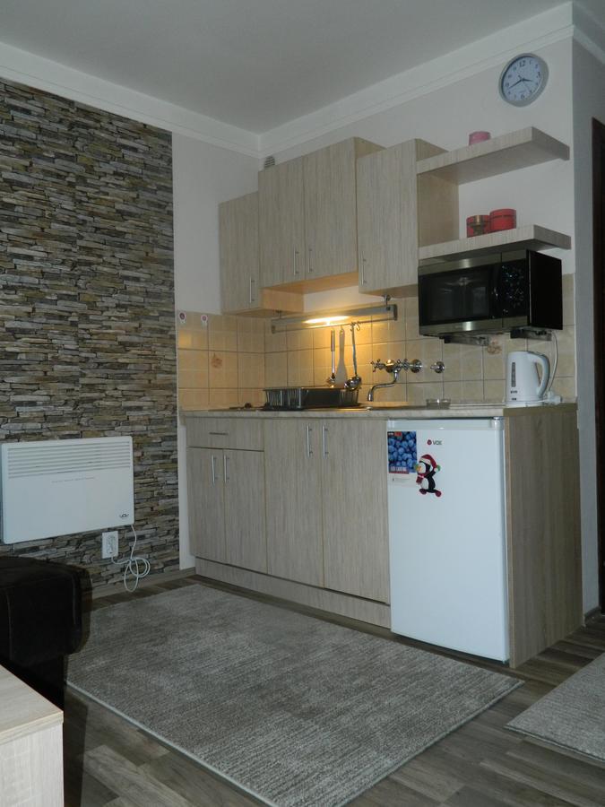 Apartment Sofi Yeti Kopaonik Extérieur photo